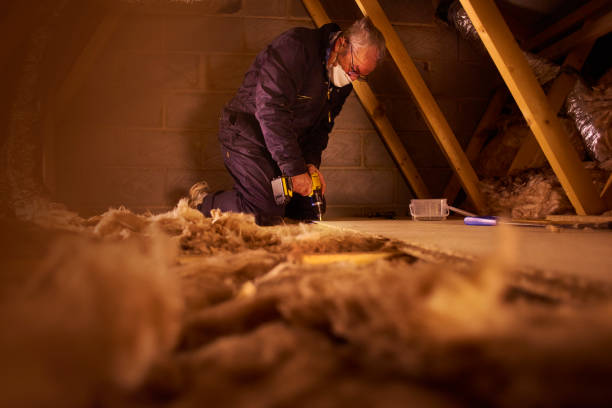 Best Home Insulation Services  in Highlands, CA